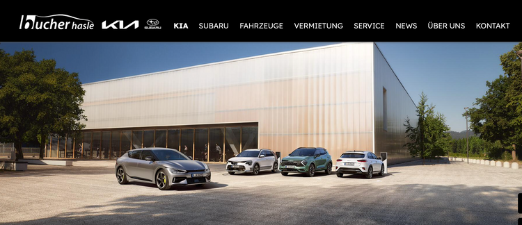 Einbau Service Hasle