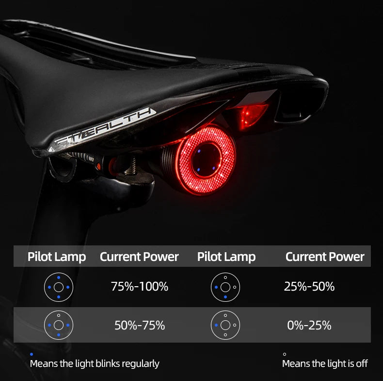 ROCKBROS Smart Bicycle Rear Light Automatic Brake Light