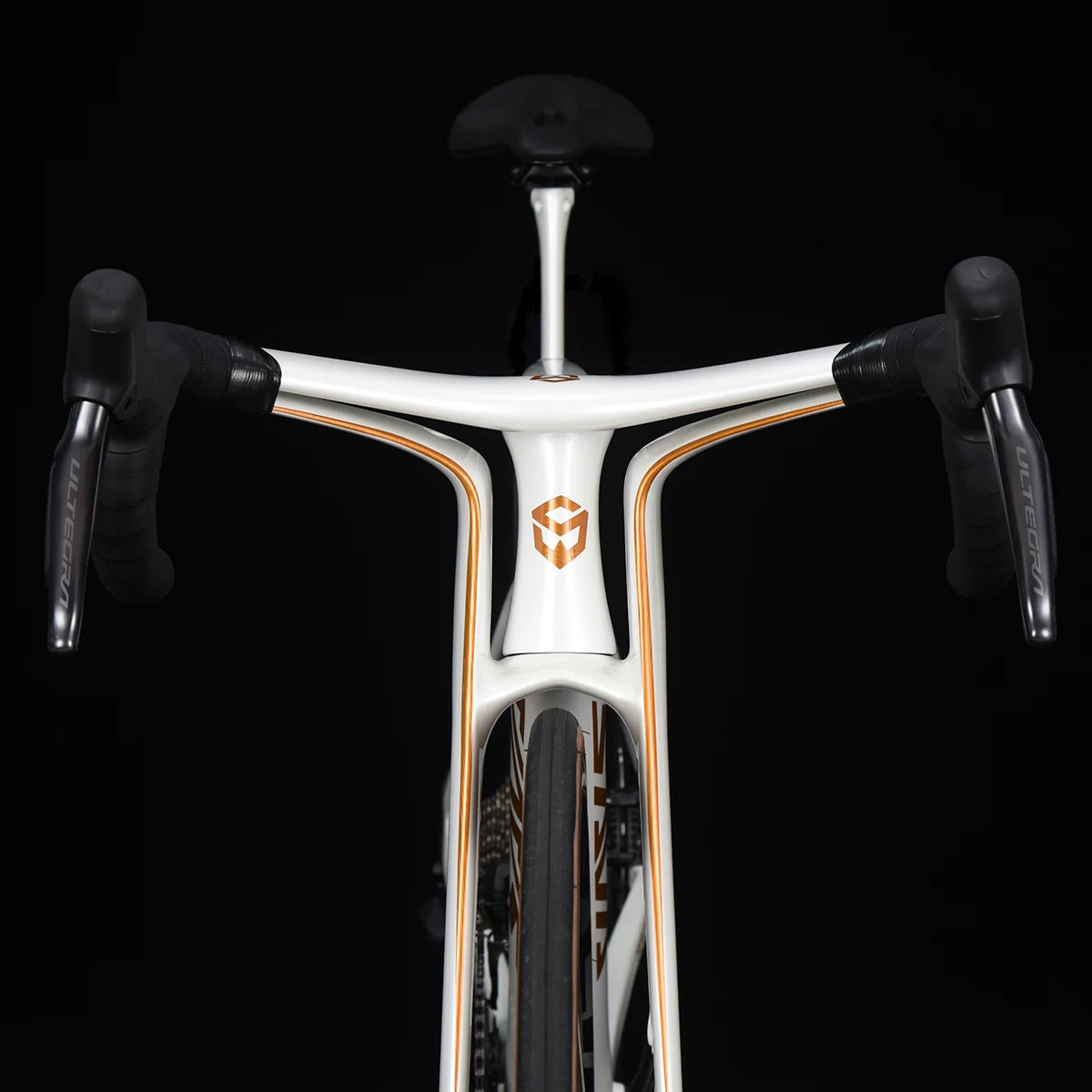 SAVA Dream Maker Full Carbon Fiber Bike Strap SHIMAN0 Di2 8170 24 Speed Hydraulic Disc Brake High End Race Class Road Bike