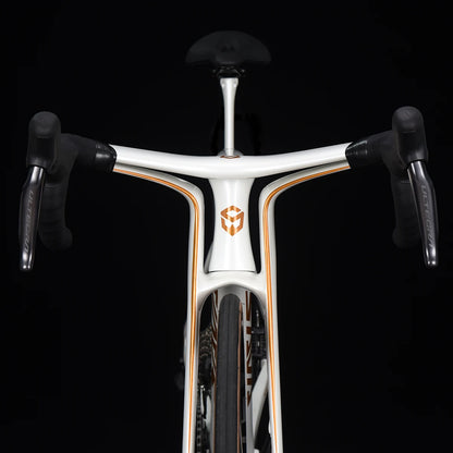 SAVA Dream Maker Full Carbon Fiber Bike Strap SHIMAN0 Di2 8170 24 Speed Hydraulic Disc Brake High End Race Class Road Bike